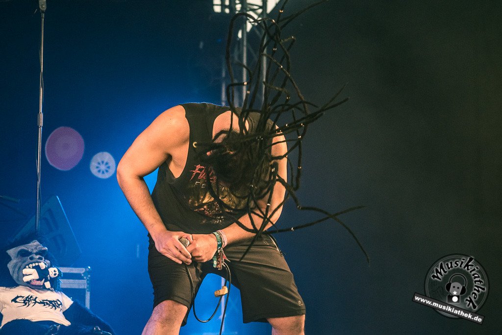 Sasquatch by Sebastian Hitzel Musikiathek-13