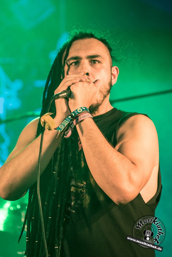 Sasquatch by Sebastian Hitzel Musikiathek-27