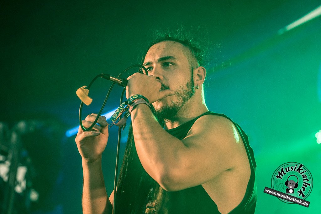 Sasquatch by Sebastian Hitzel Musikiathek-28