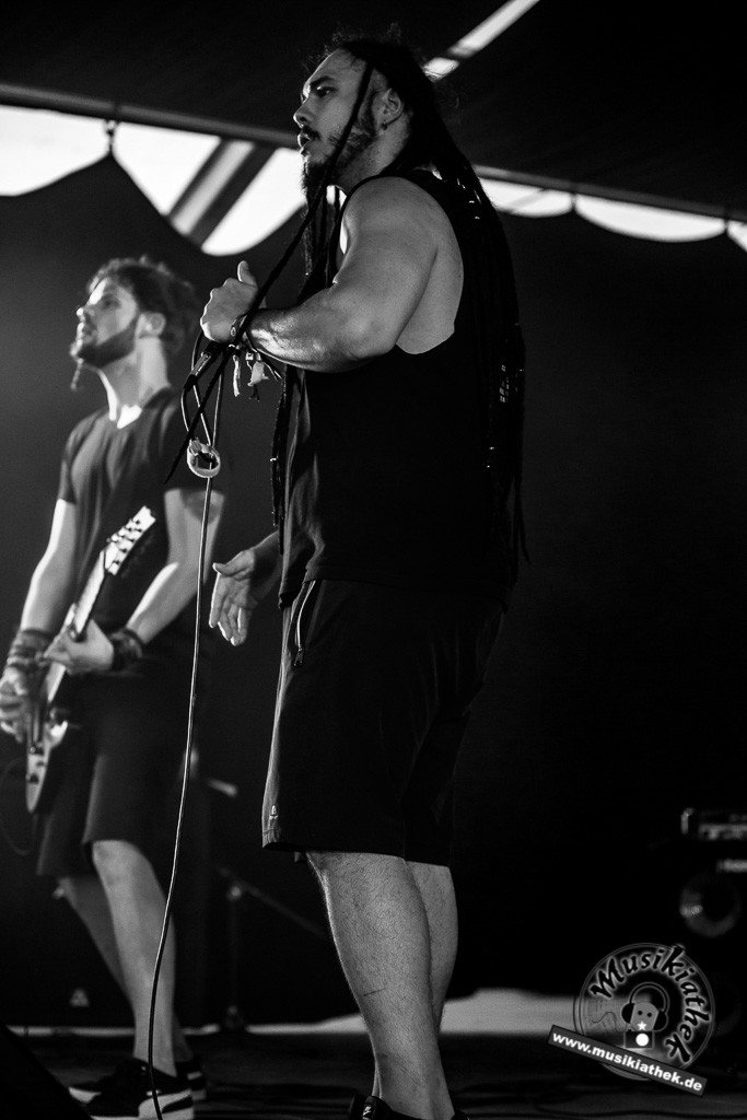 Sasquatch by Wolf Nyström Musikiathek-24