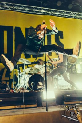 Donots-12