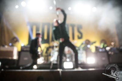 Donots-14