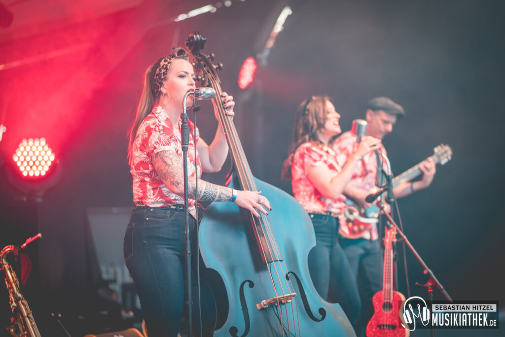 the sylverettes @ sebastian hitzel musikiathek-9